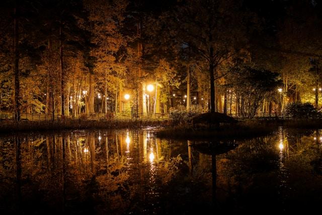 Park in autumn, evening light